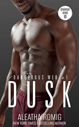 Dusk by author Aleatha Romig. Book Ten cover.
